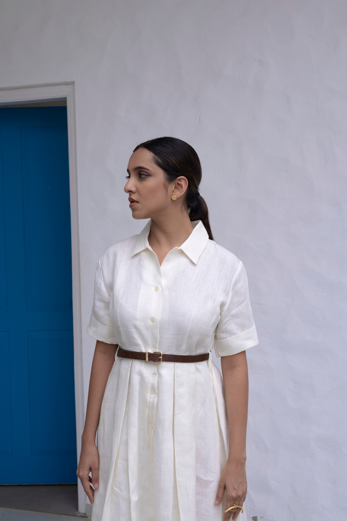 Shirtwaist Dress
