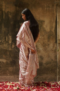 Coffee Caffiene Saree