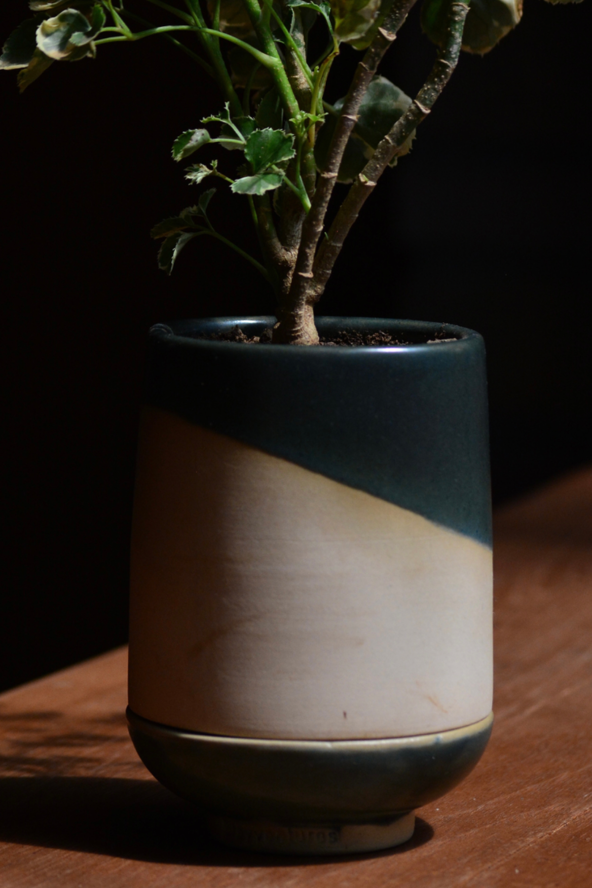 In Good Company Desk Planter