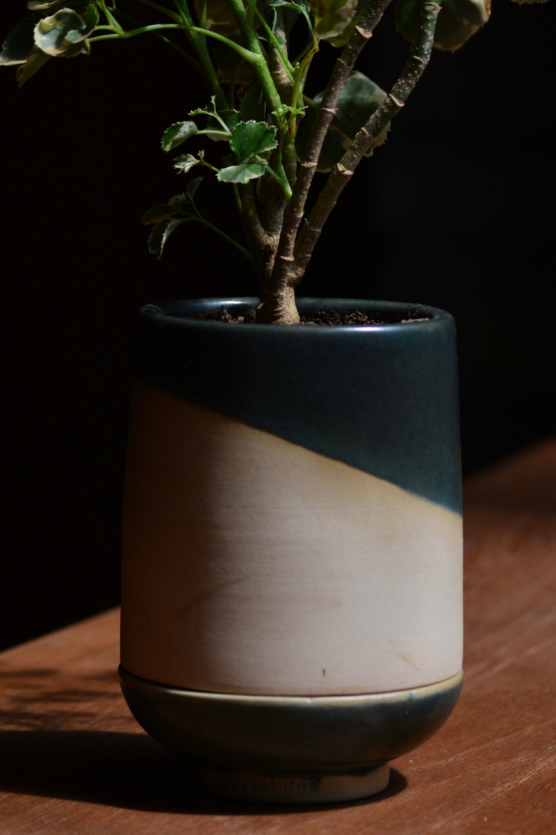 In Good Company Desk Planter