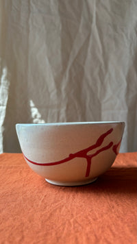 Bowl Of Contrasts