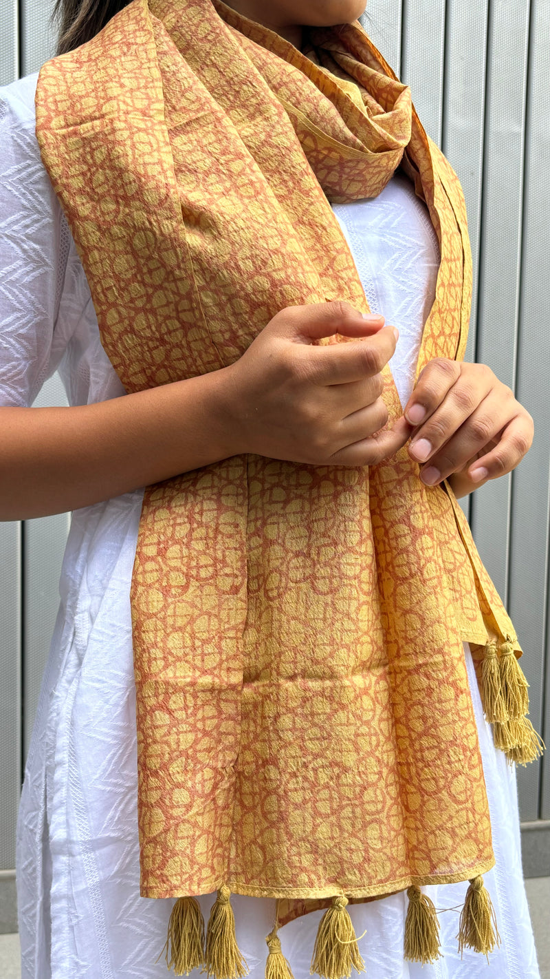 Printed Tussar Silk Stole