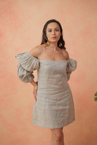 Dreamy Puff Sleeve Dress