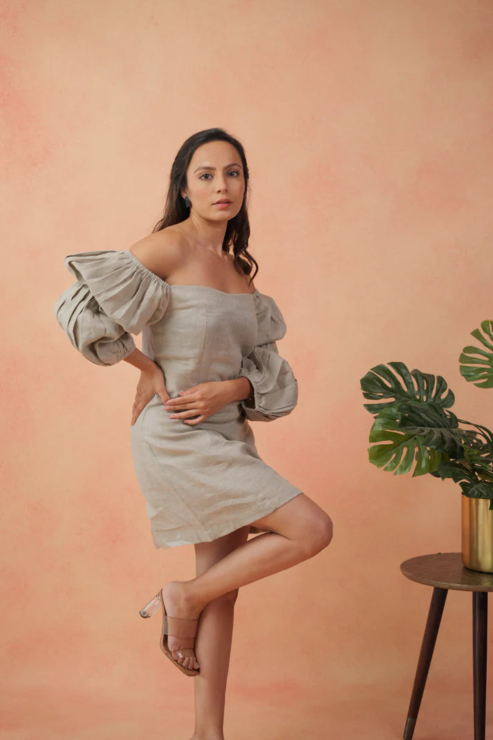 Dreamy Puff Sleeve Dress