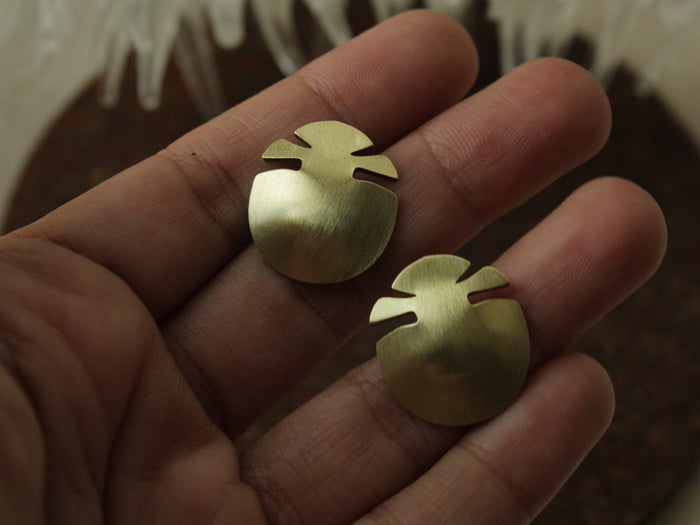 Tortoise beetle_studs