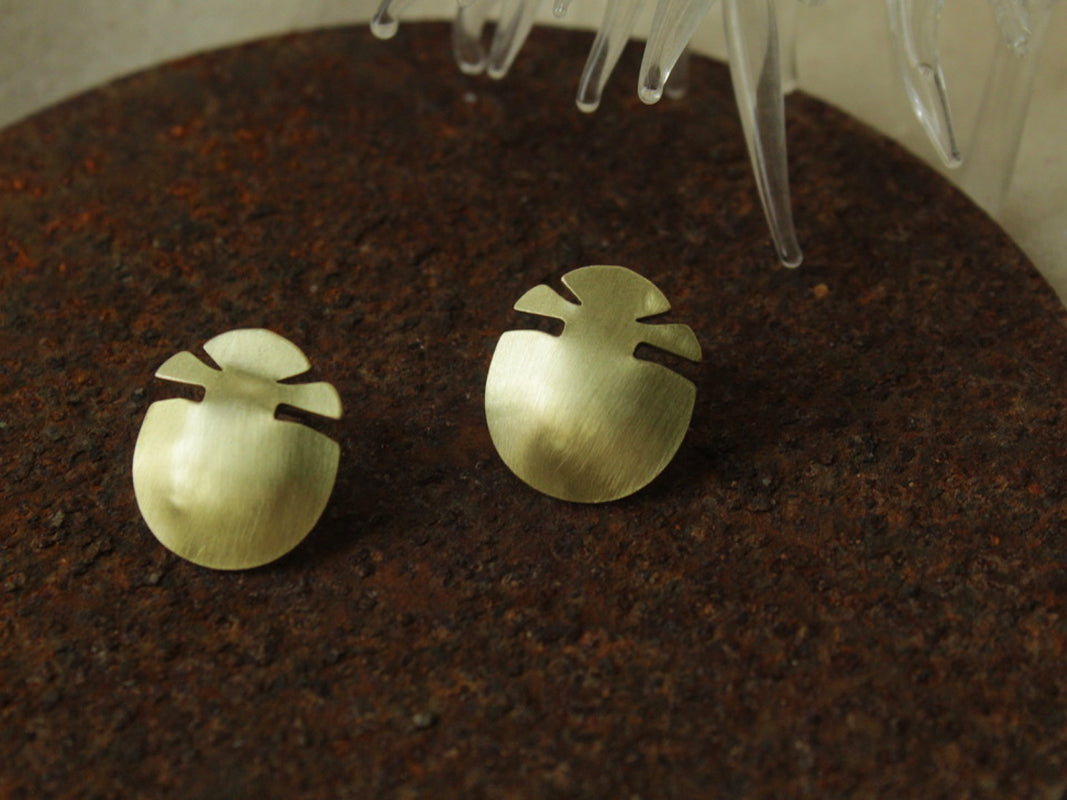 Tortoise beetle_studs