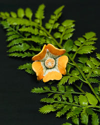 Nayantara ring