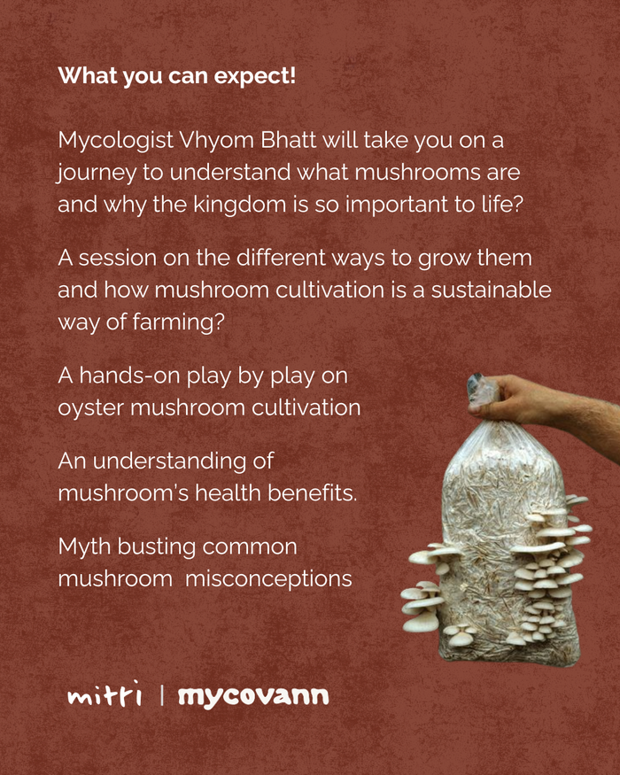mushroom cultivation workshop