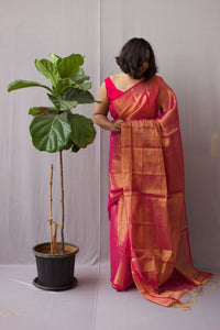 Maya Tissue Saree