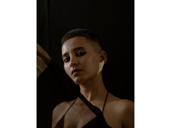 pinna ear lobe
