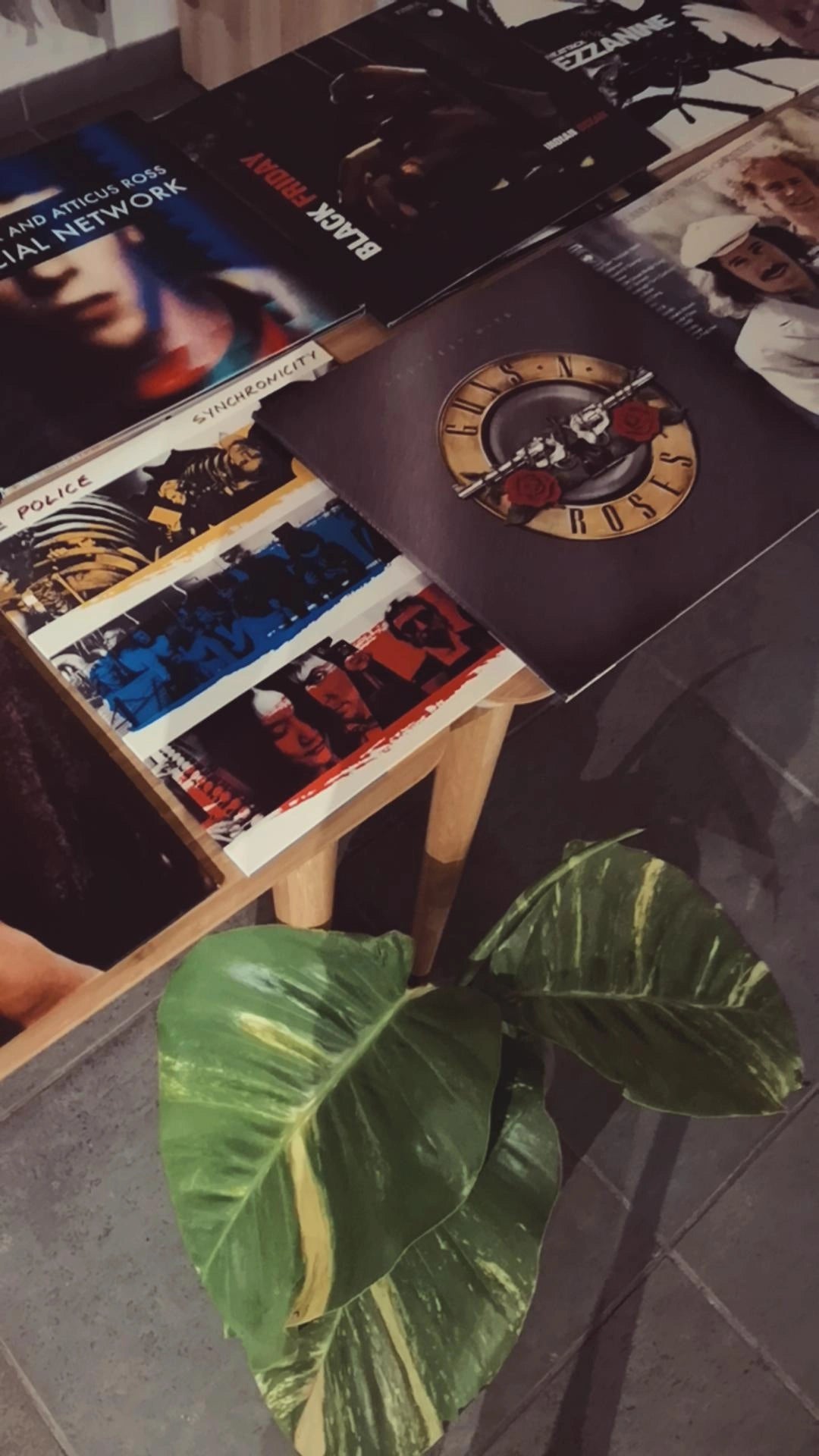 Vinyl Night